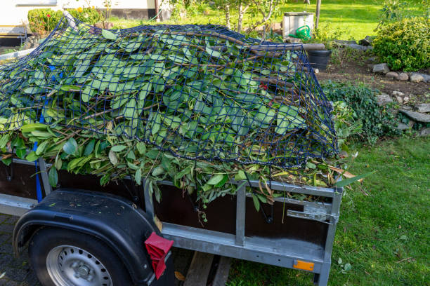 Best Shed Removal  in Perryman, MD